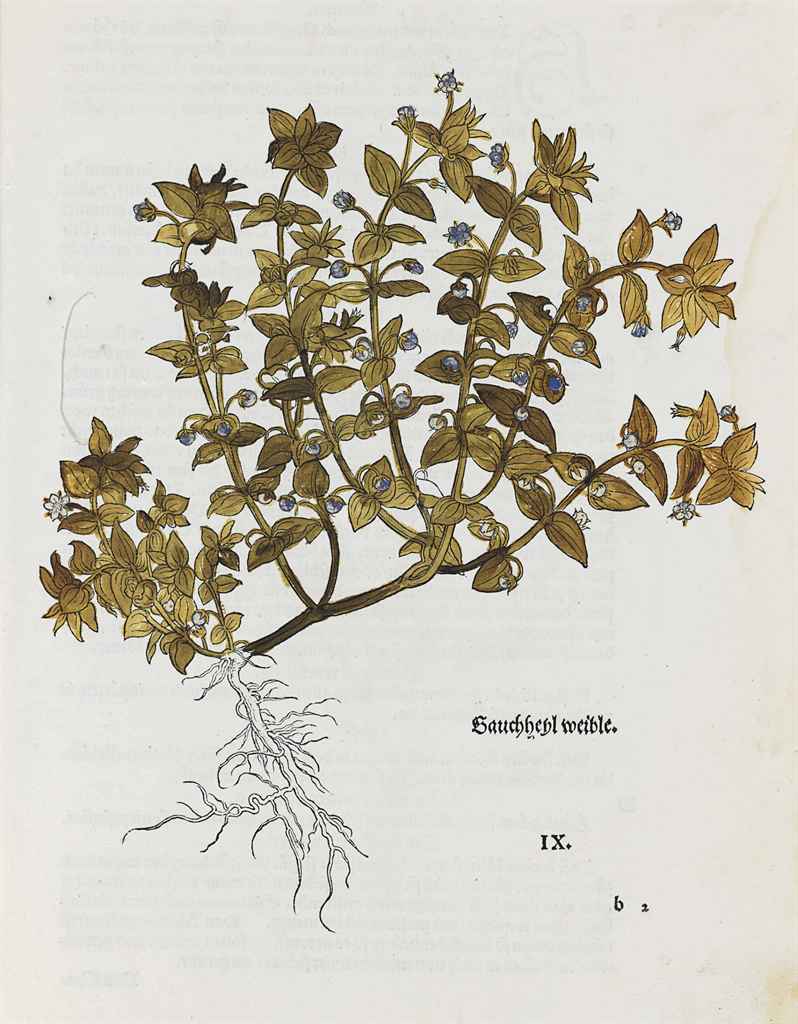Source: Christie's Image