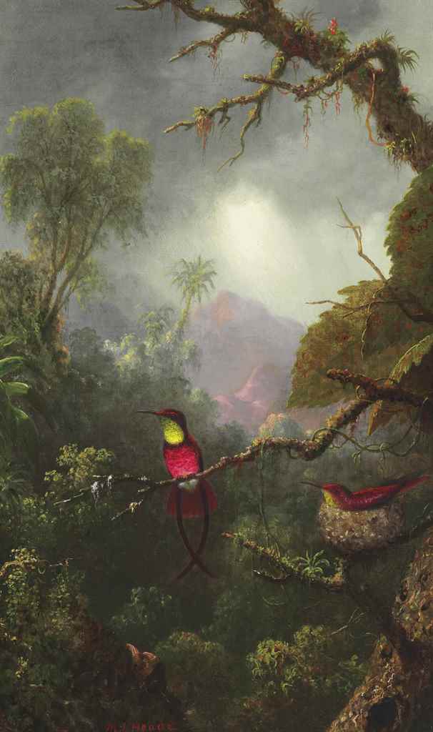 martin johnson heade essay martin johnson heade essay
