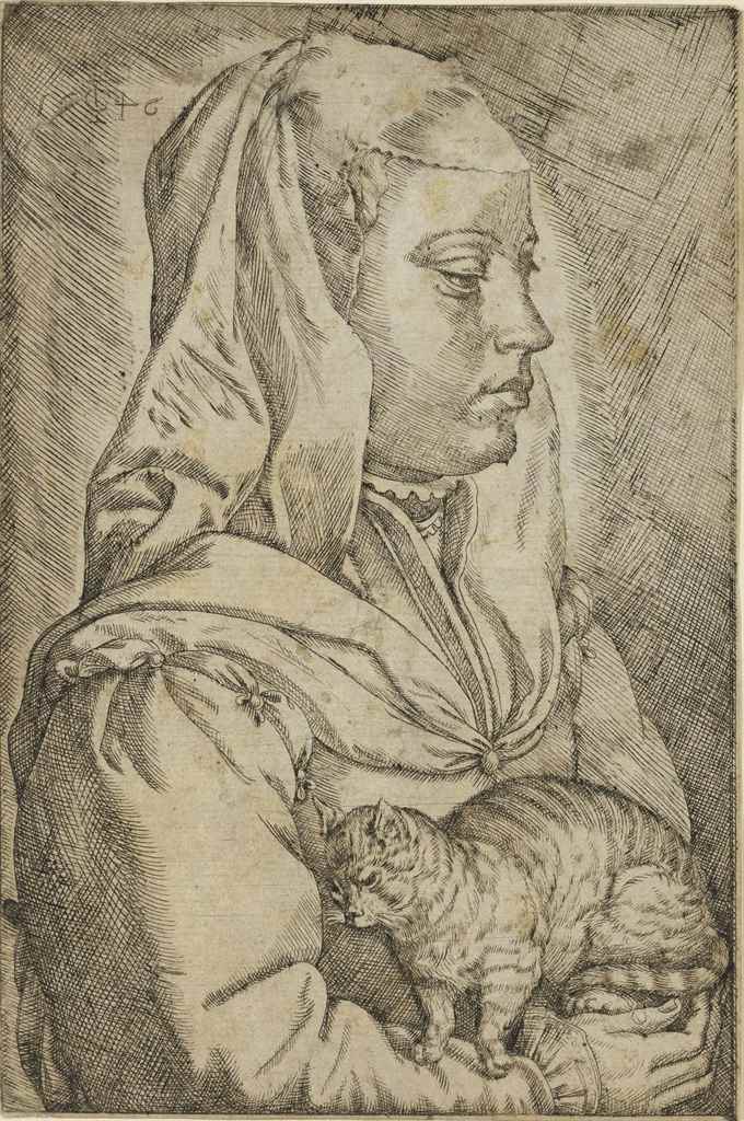 Jan Cornelisz. Vermeyen Aktuelle Auktionen, Wertentwicklung und