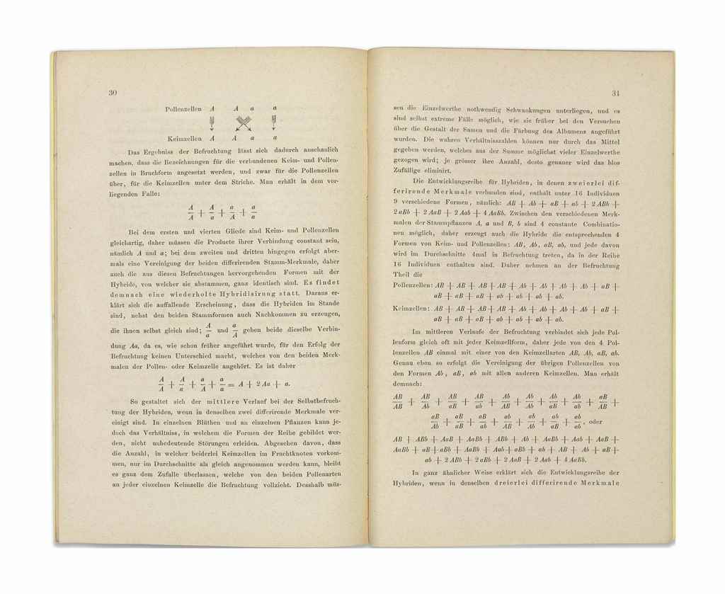 gregor johann mendel research paper Gregor mendel research paper free gregor mendel essays and papers – 123helpmecom free gregor mendel papers, essays, and research papers gregor johann mendel. gregor johann mendel research paper Gregor mendel research paper free gregor mendel essays and papers – 123helpmecom free gregor mendel papers, essays, and research papers gregor johann mendel.