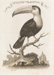 Il Gazzettiere Americano contenente un distinto ragguaglio di tutte le parti del Nuovo Mondo, Livorno: Marco Coltellini, 1763. 3 volumes, 4° (292 x 220mm.). Engraved frontispiece and half title in volume one. 3 title vignettes and 77 engraved maps, plans and plates, some folding. (Occasional light spotting and staining). Contemporary calf-backed decorated boards. (Rubbed and scuffed). Sabin 26814. The Italian translation of The American Gazetteer, published in London in three 12° volumes by J. Millar in 1762. [Sabin 1090]. 	 (3)
