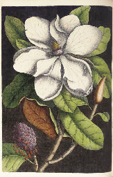 Source: Christie's Image