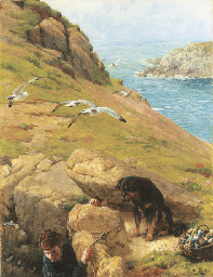 The Gull Catcher  