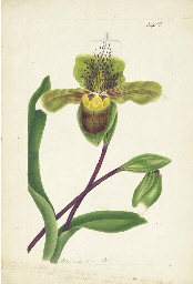 Source: Christie's Image