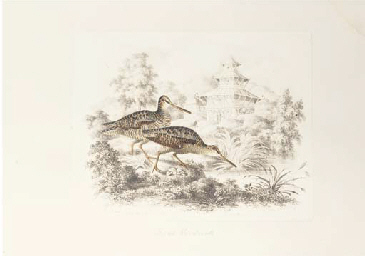 CHRISTOPHER WEBB SMITH (1793-1871) AND SIR CHARLES WILLIAM D'OYLY (1781-1845)
