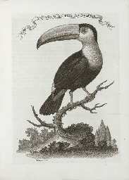 Il Gazzettiere Americano contenente un distinto ragguaglio di tutte le parti del Nuovo Mondo...  Livorno: Marco Coltellini, 1763.