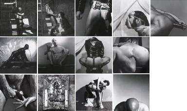 X Portfolio  