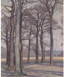 Richmond Park, Winter  