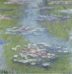 Nymphéas  