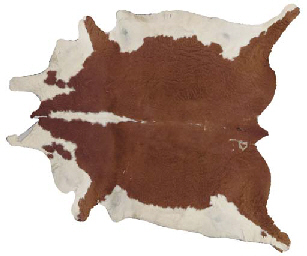 Pony Skin Rug Furniture A Brown And White Pony Skin Ru