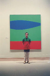 Selected images from Museum Camouflage, 1998  