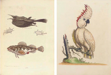 Source: Christie's Image