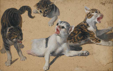 Quatre chatons  