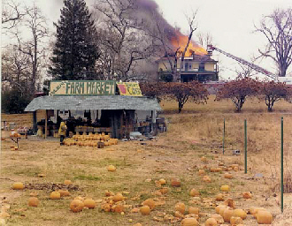 JOEL STERNFELD (b. 1944)