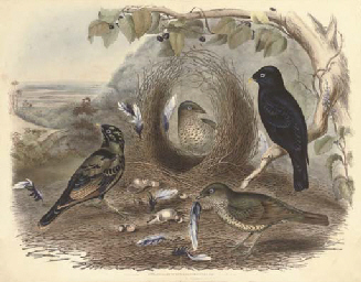 Source: Christie's Image