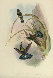 Source: Christie's Image