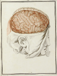 VICQ D'AZYR, Félix (1748-1794). Traité d'anatomie et de physiologie, avec des planches coloriées représentant au naturel les divers organes de l'homme et des animaux... Tome premier [all published]. Paris: François Ambroise Didot l'aîné, 1786.