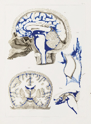 KEY, Axel (1832-1901) and Magnus Gustaf RETZIUS (1842-1919). Studien in der Anatomie des Nervensystems und des Bindegewebes. Stockholm: Samson & Wallin, P.A. Norstedt & Söner, 1875-76.