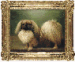 T San Ta To a Pekingese