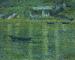 The Seine at Port-Villez