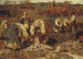 The Potato harvest in Belorussia