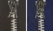 Zip
