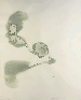 Snowball Drawing: Burrowdale