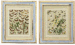 A SET OF TWENTY-FOUR HAND COLOURED LITHOGRAPHED PLATES OF EUROPEAN MOTHS AND BUTTERFLIES