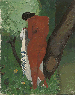 Baigneuse