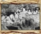 Foot'n Mouth, Lake Rudolf, Kenya, 1965  