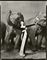 Dovima with elephants, Cirque d'Hiver, Paris, August 1955 
