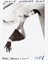 Arielle Azzedine's Glove, Paris, French Vogue, 1981 [sic], 1982  