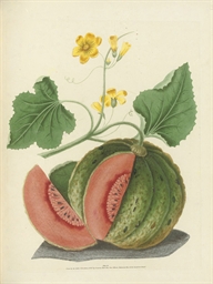Source: Christie's Image