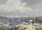 Ptarmigan in mid plumage