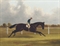 Major Yarburgh's brown colt, Charles XII, winner of the 1839 St. Leger, with William Scott up