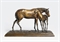 The thoroughbred mare's foal  