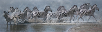 Flight of the zebra  