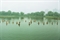 To Raise the Water Level In A Fish Pond (Distant)  