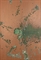 Oxidation Painting  