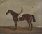 A chestnut with jockey up, a race course beyond