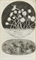 HOOKE, Robert (1635-1703). Micrographia: or some Physiological Descriptions of Minute Bodies made by Magnifying Glasses. London: John Martyn and James Allestry for the Royal Society, 1665.