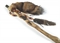 Carved Staff  