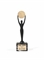 Rock and Roll Hall of Fame Induction Award  