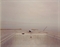 Diving Board, Salton Sea, 1983  