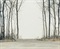 Aussichtsplattform, 1999  