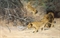 A Pride of Lions on the Prowl