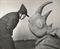 Dali and Rhinoceros, 1981  