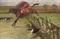 The Master of the Hunt, Edward Preston Rawnsley, clearing a fence