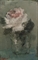 Pink rose in a glass  