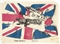 The Sex Pistols  